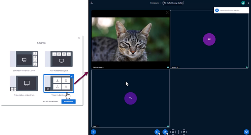 Datei:Screenshot BBB Video im Zentrum.png